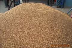Commodities