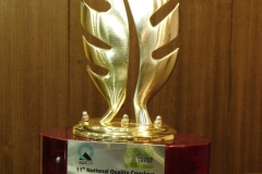 DLShah Platinum Award