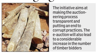 <b>Now, you can buy affordable timber online through govt’s e-auction</b>