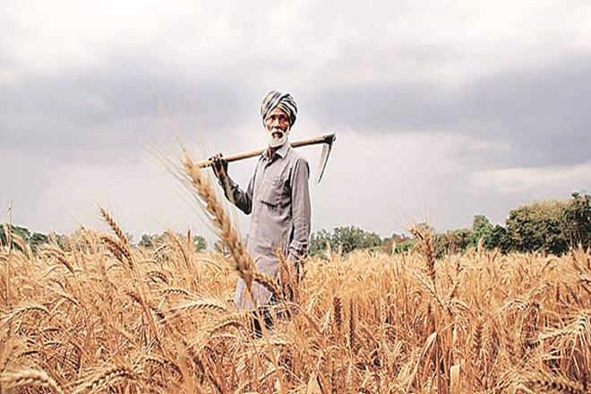 <b>E-trading platform helps Karnataka farmers earn 38 percent more income</b>