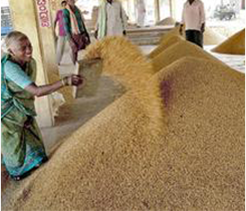 <b>Karnataka shows the way on unified national agri market</b>